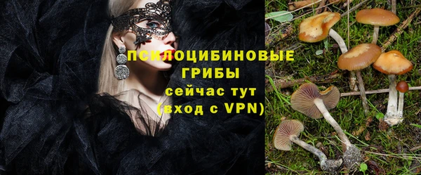 альфа пвп Саяногорск