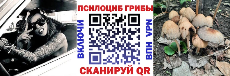 Псилоцибиновые грибы прущие грибы  Торопец 