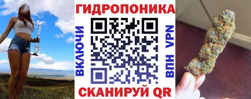 купить наркотики сайты  Торопец  Бошки Шишки конопля 